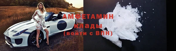 прущие грибы Верхний Тагил