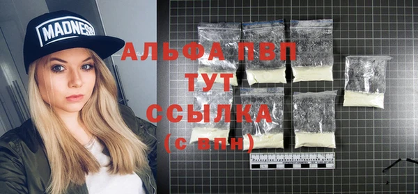 PSILOCYBIN Слюдянка