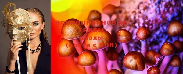 гашик Бородино