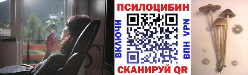Псилоцибиновые грибы Cubensis  мориарти какой сайт  Кашира 